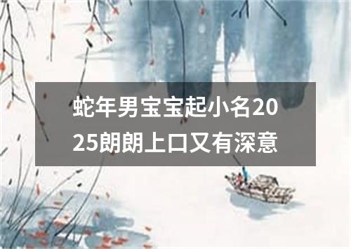 蛇年男宝宝起小名2025朗朗上口又有深意