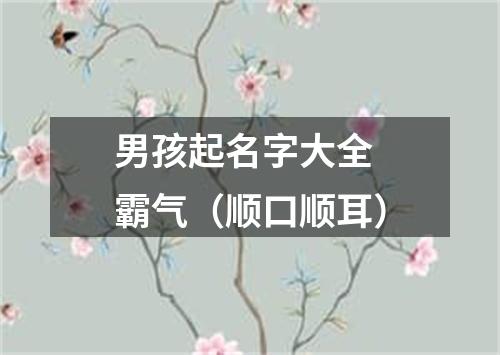 男孩起名字大全 霸气（顺口顺耳）