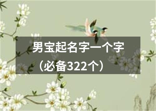 男宝起名字一个字（必备322个）