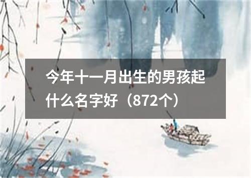 今年十一月出生的男孩起什么名字好（872个）