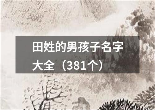 田姓的男孩子名字大全（381个）