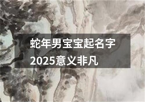 蛇年男宝宝起名字2025意义非凡