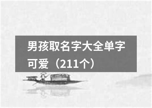 男孩取名字大全单字可爱（211个）