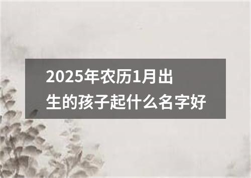 2025年农历1月出生的孩子起什么名字好