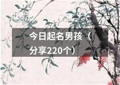 今日起名男孩（分享220个）