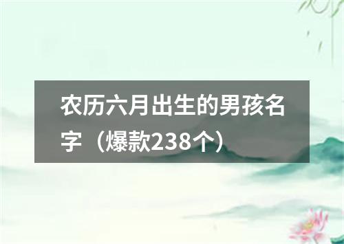 农历六月出生的男孩名字（爆款238个）