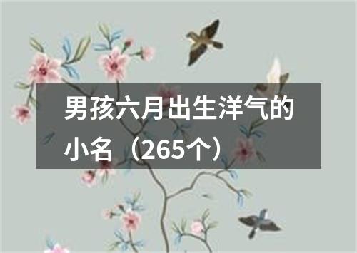 男孩六月出生洋气的小名（265个）