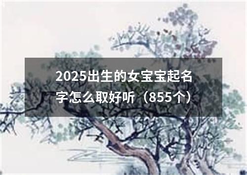 2025出生的女宝宝起名字怎么取好听（855个）