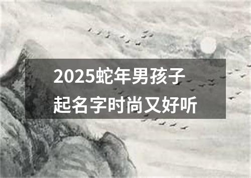 2025蛇年男孩子起名字时尚又好听