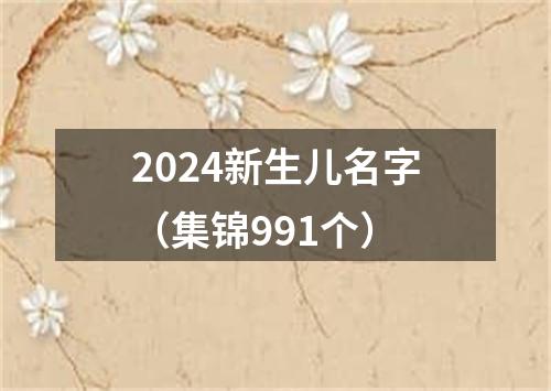 2024新生儿名字（集锦991个）