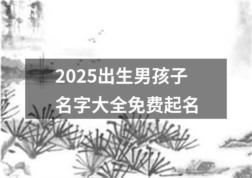 2025出生男孩子名字大全免费起名