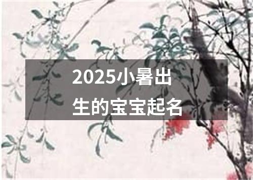 2025小暑出生的宝宝起名