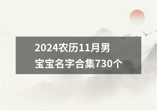 2024农历11月男宝宝名字合集730个