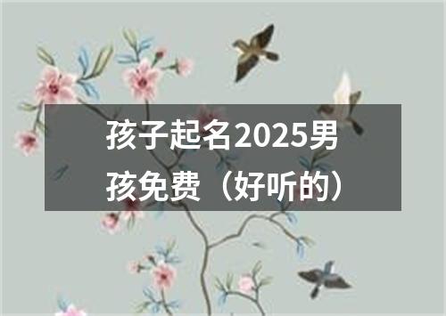 孩子起名2025男孩免费（好听的）