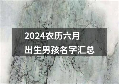 2024农历六月出生男孩名字汇总