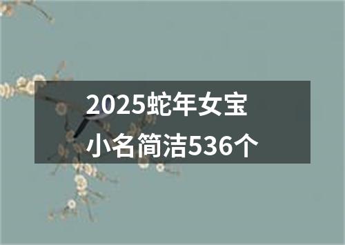 2025蛇年女宝小名简洁536个