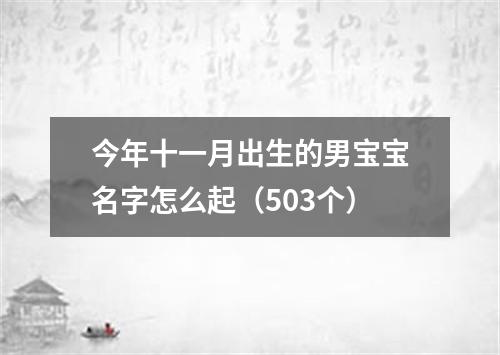 今年十一月出生的男宝宝名字怎么起（503个）