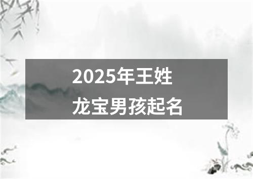 2025年王姓龙宝男孩起名