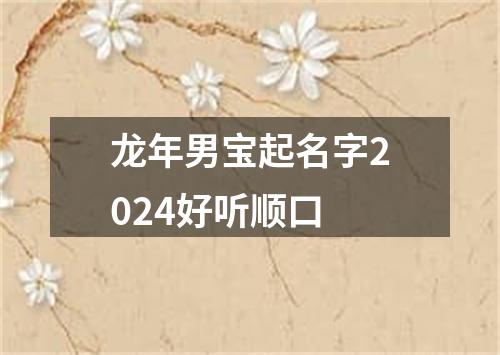 龙年男宝起名字2024好听顺口