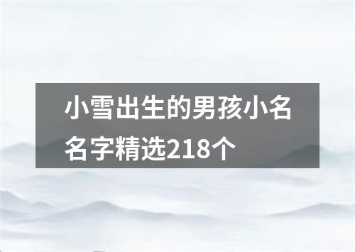 小雪出生的男孩小名名字精选218个