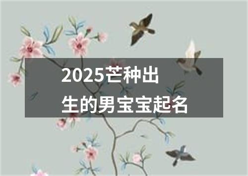 2025芒种出生的男宝宝起名