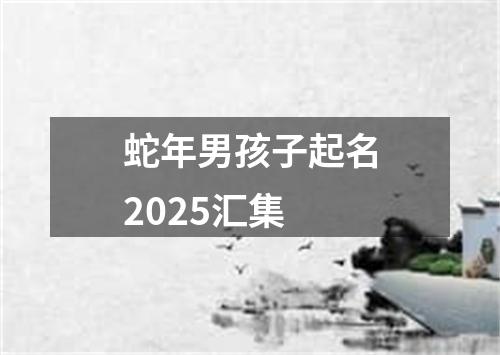 蛇年男孩子起名2025汇集