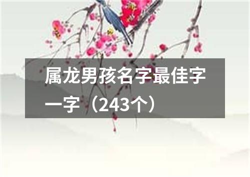 属龙男孩名字最佳字一字（243个）