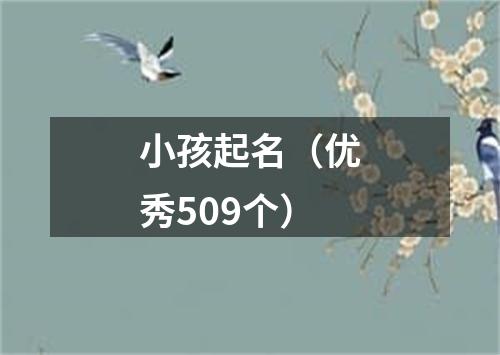 小孩起名（优秀509个）