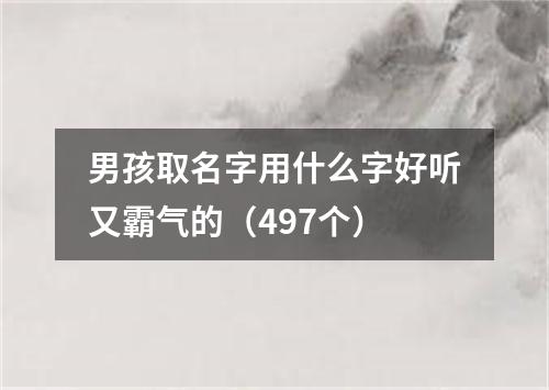 男孩取名字用什么字好听又霸气的（497个）