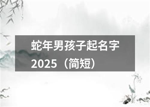 蛇年男孩子起名字2025（简短）