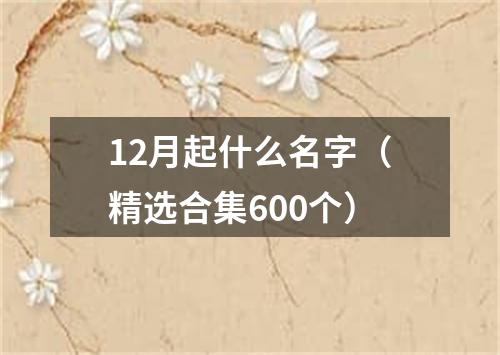 12月起什么名字（精选合集600个）