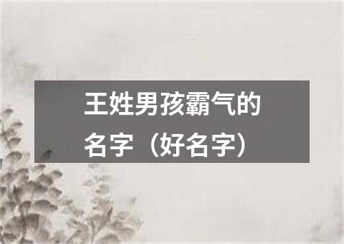 王姓男孩霸气的名字（好名字）