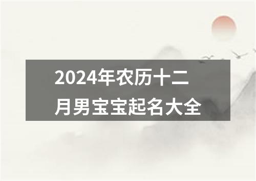 2024年农历十二月男宝宝起名大全