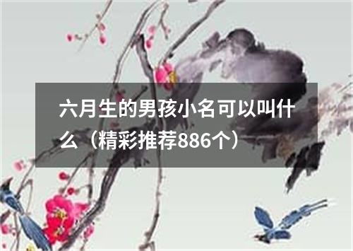 六月生的男孩小名可以叫什么（精彩推荐886个）