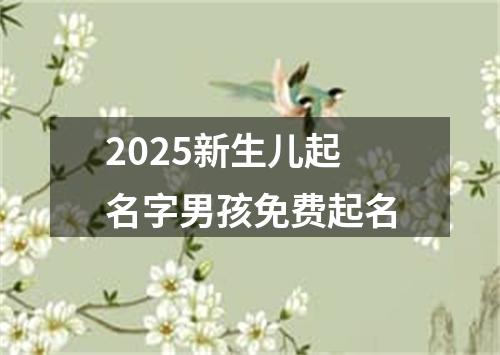 2025新生儿起名字男孩免费起名