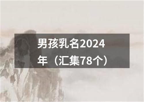 男孩乳名2024年（汇集78个）