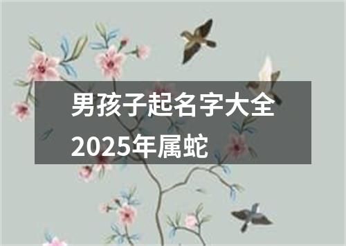 男孩子起名字大全2025年属蛇