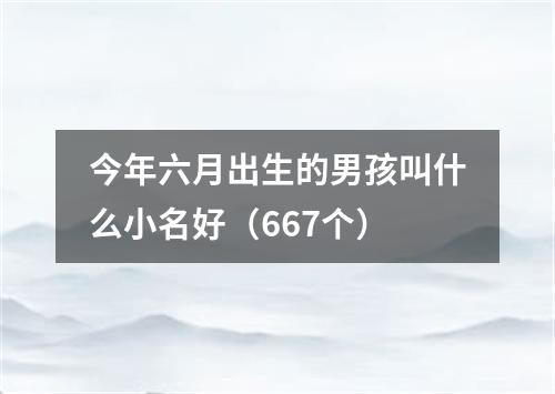 今年六月出生的男孩叫什么小名好（667个）