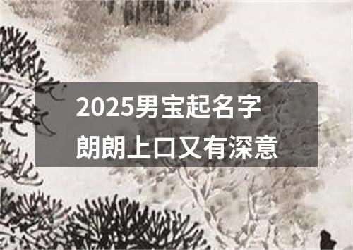 2025男宝起名字朗朗上口又有深意