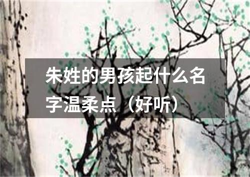 朱姓的男孩起什么名字温柔点（好听）