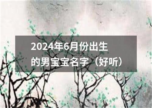 2024年6月份出生的男宝宝名字（好听）