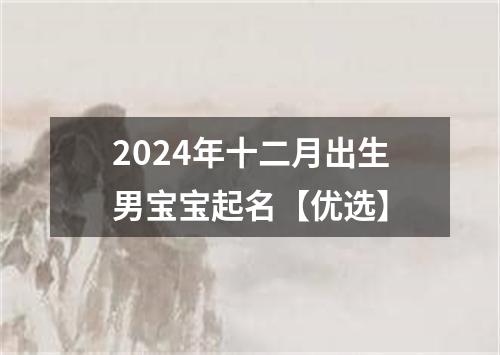 2024年十二月出生男宝宝起名【优选】