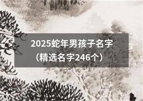 2025蛇年男孩子名字（精选名字246个）