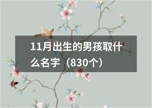 11月出生的男孩取什么名字（830个）