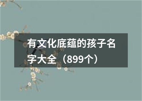 有文化底蕴的孩子名字大全（899个）