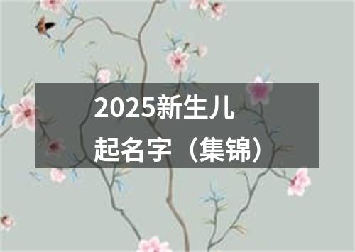 2025新生儿起名字（集锦）