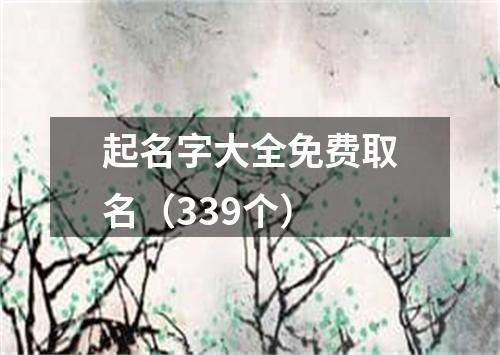 起名字大全免费取名（339个）