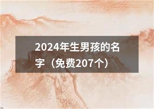 2024年生男孩的名字（免费207个）