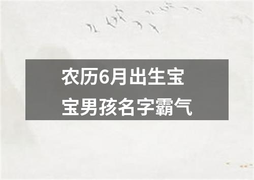 农历6月出生宝宝男孩名字霸气