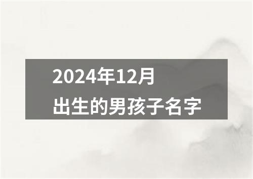 2024年12月出生的男孩子名字